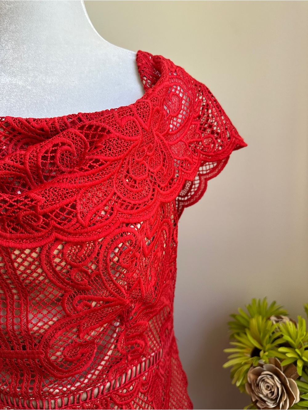 STYLESTALKER Red Lace Overlay Dress - Picture 3 of 14